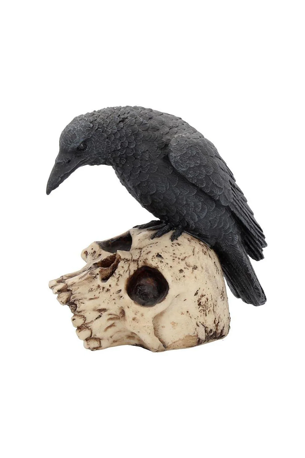 Raven On Skull Statue
