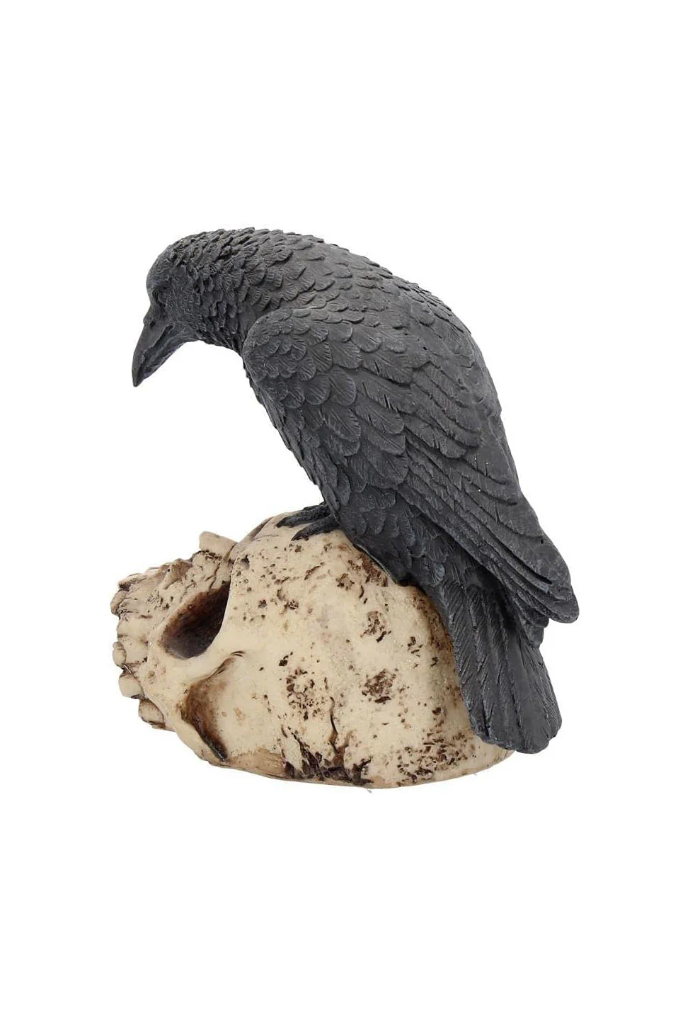 Raven On Skull Statue - Image 2