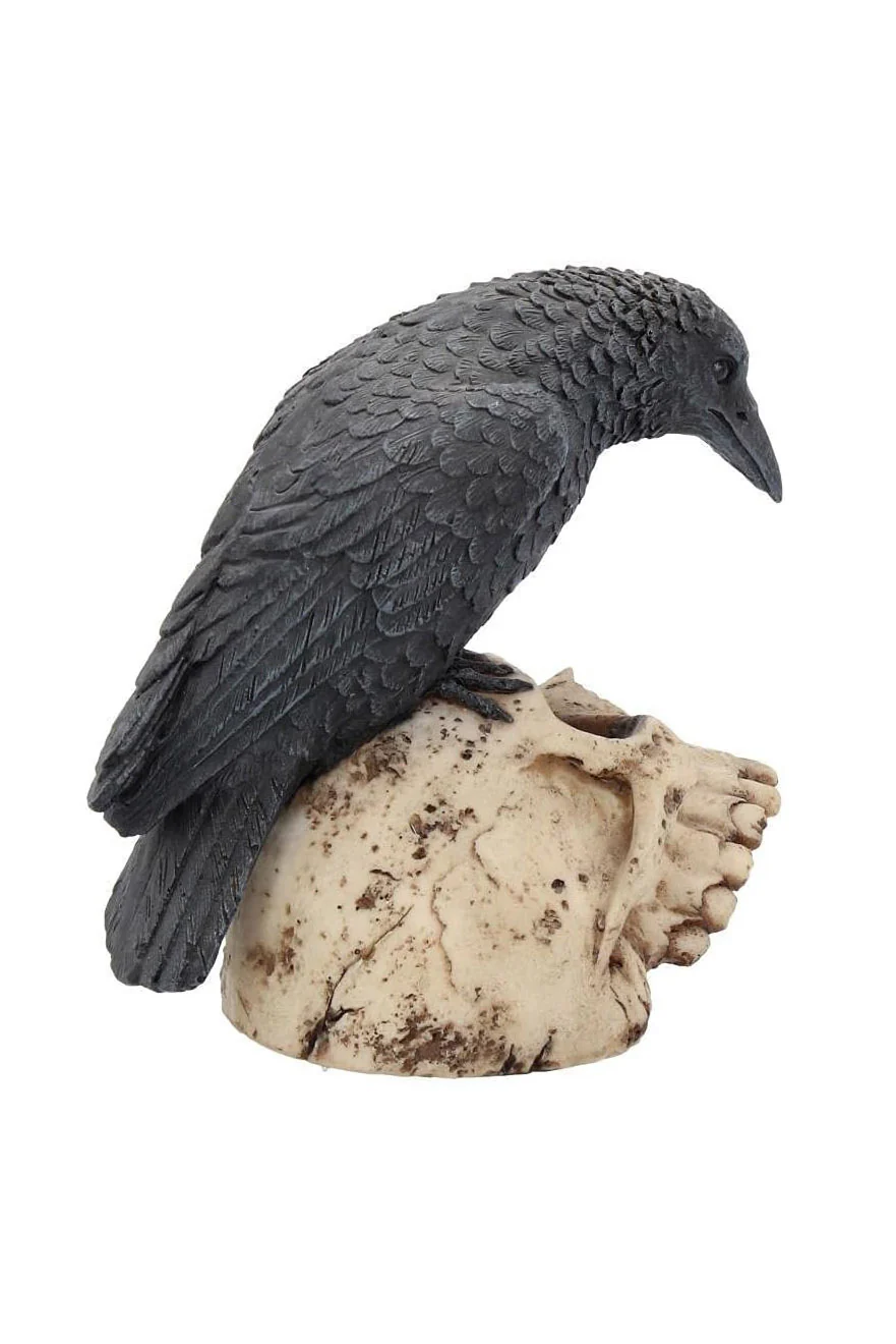 Raven On Skull Statue - Image 4