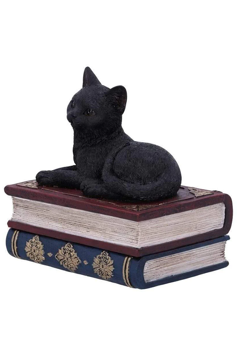 Salem Spells Black Cat Trinket Box - Image 5