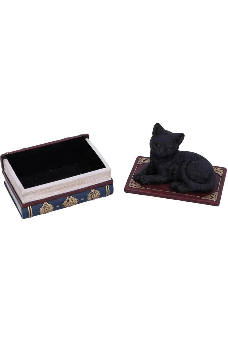 Salem Spells Black Cat Trinket Box - Image 6