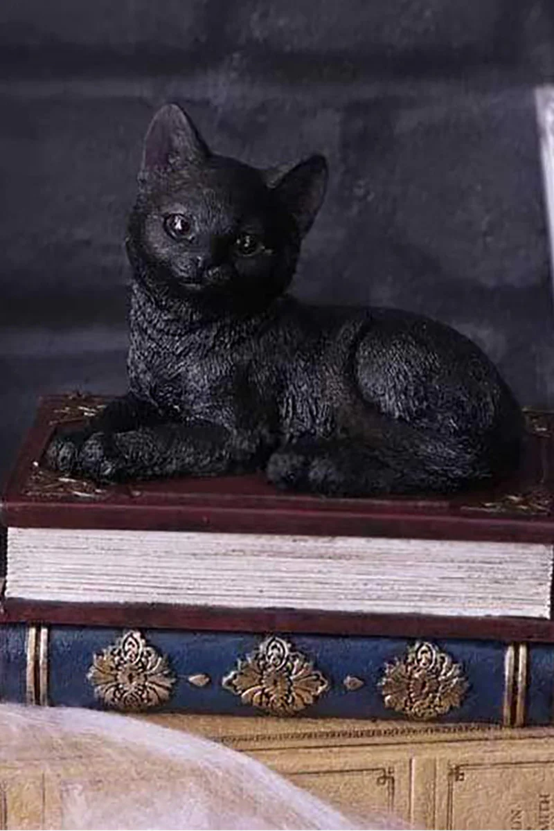 Salem Spells Black Cat Trinket Box - Image 7