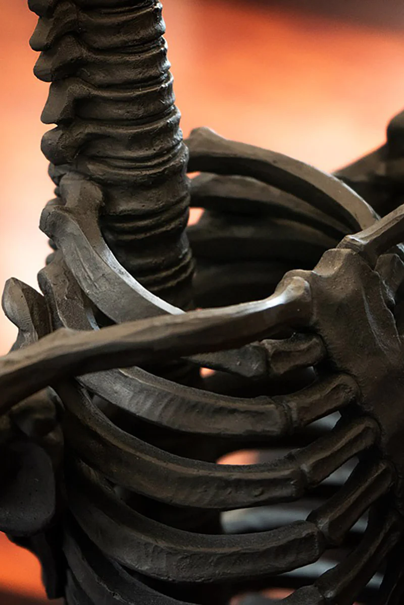 Skeleton Lamp - Image 8