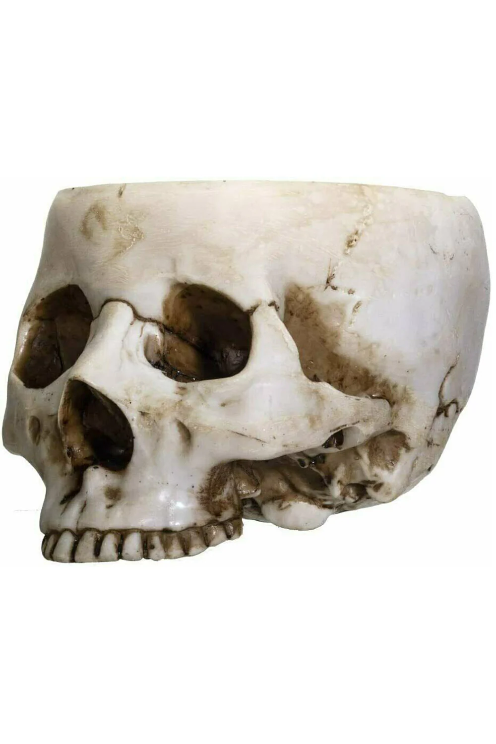 Skull Bowl - Image 3