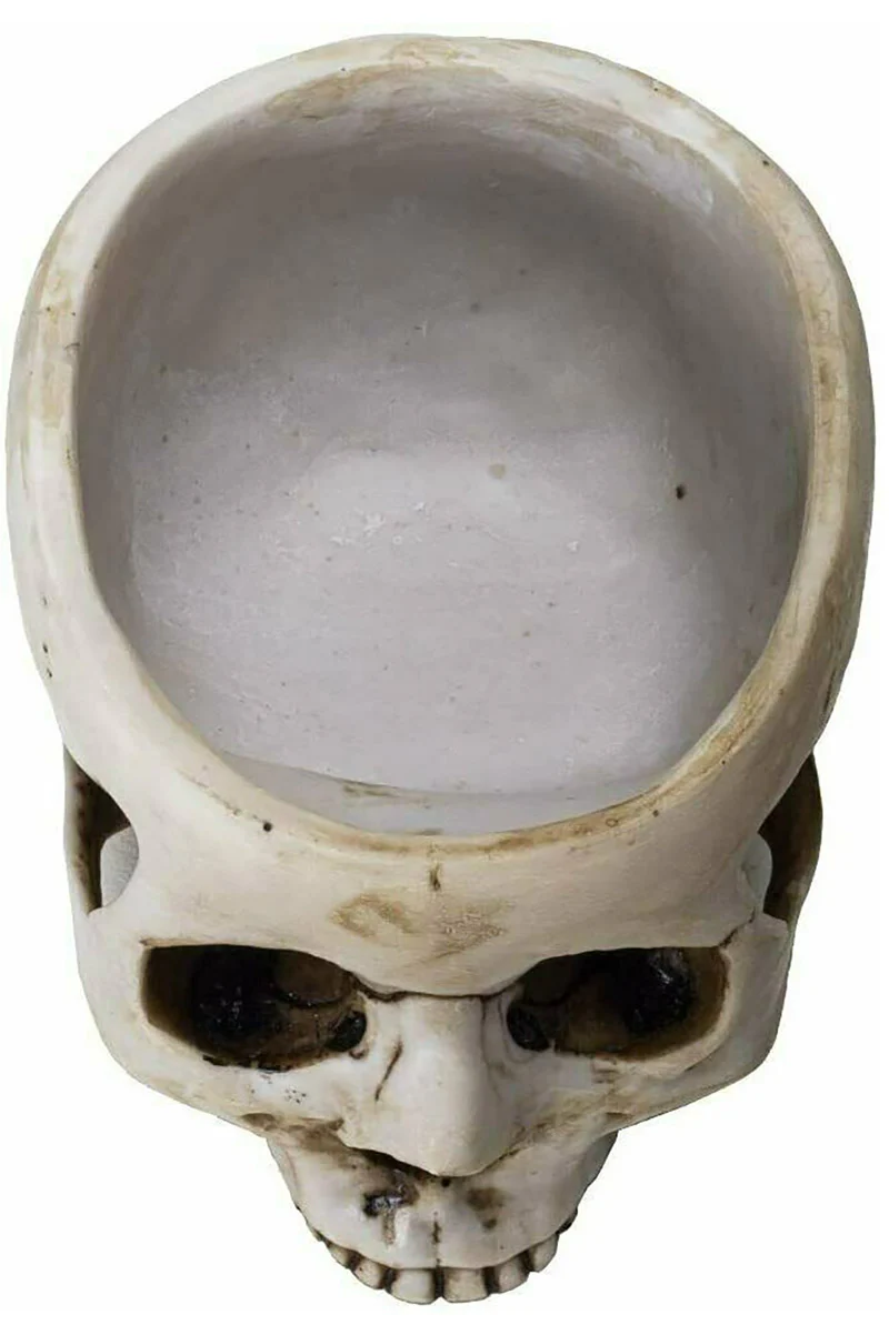 Skull Bowl - Image 4