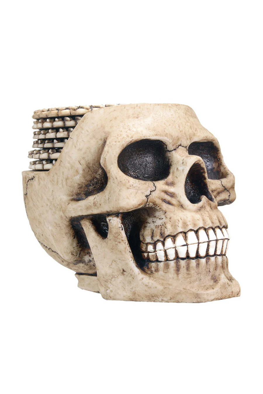 Skull Coasters [Set of 6] - Image 3