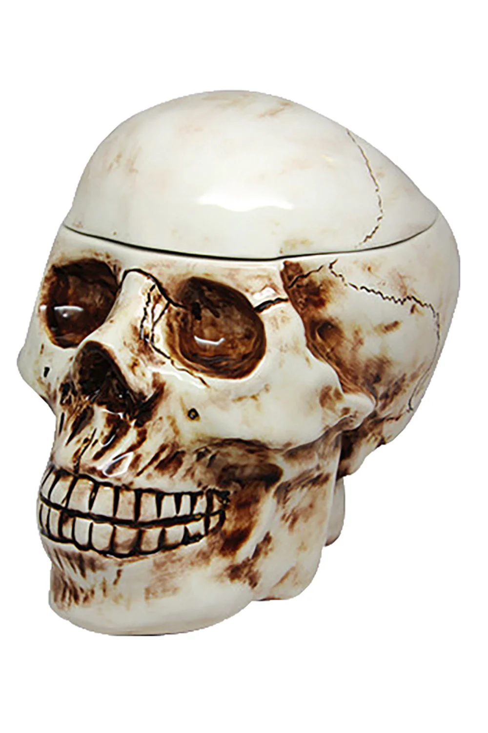 Skull Cookie Jar - Image 3