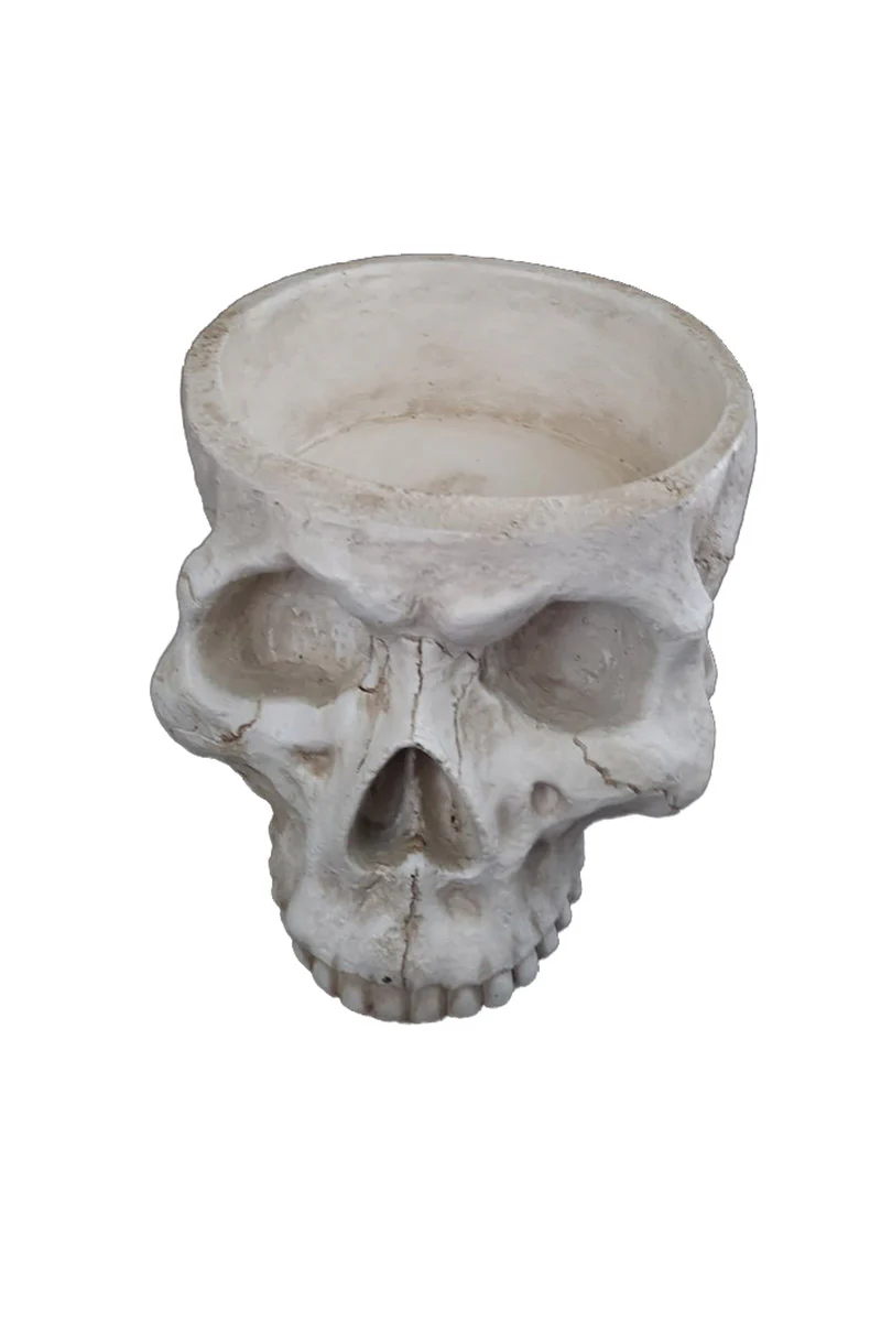 Skull Planter - Image 2