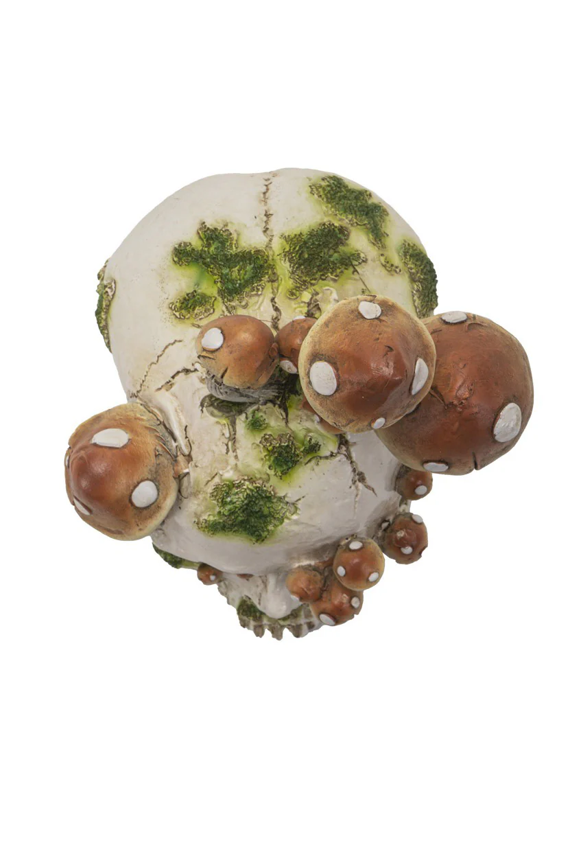 Skull with Mushrooms Statue - Image 2