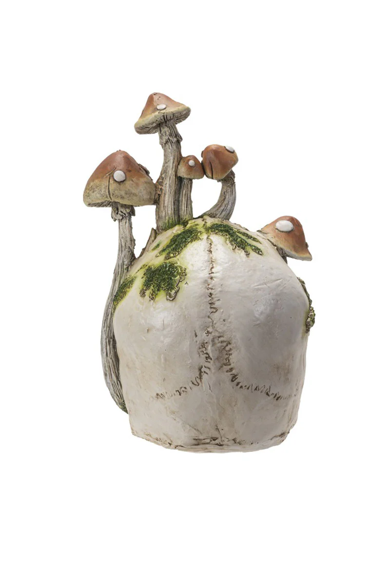 Skull with Mushrooms Statue - Image 4