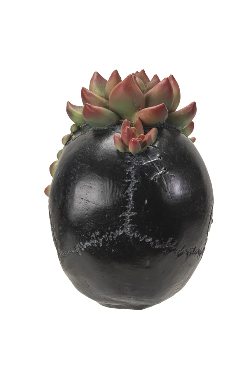 Skull with Succulents Statue - Image 3