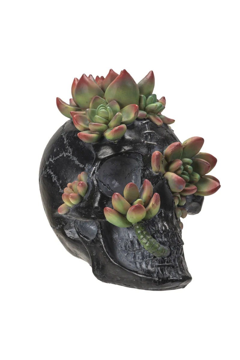 Skull with Succulents Statue - Image 4