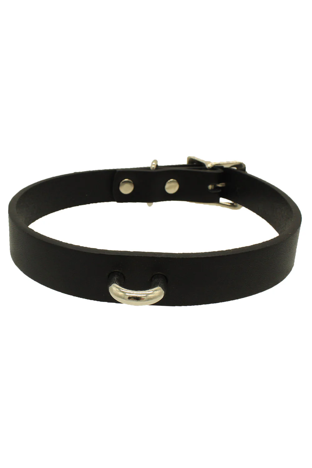 Slave to Love Leash + Collar - Image 3