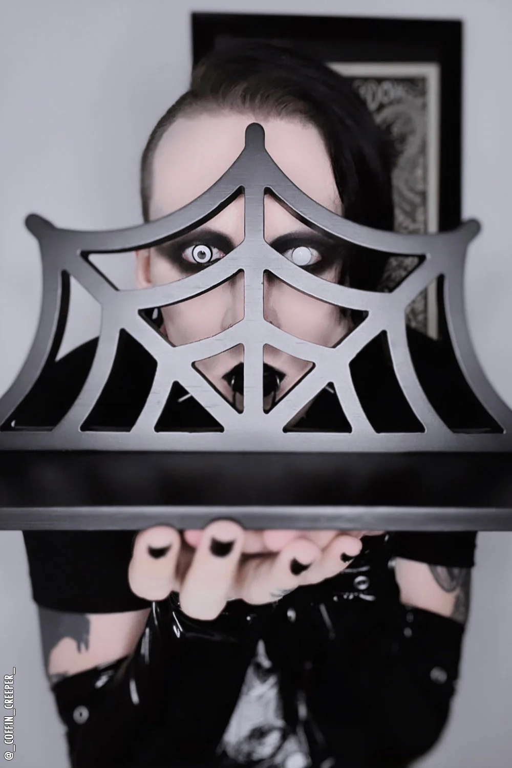 Spiderweb Shelf - Image 10