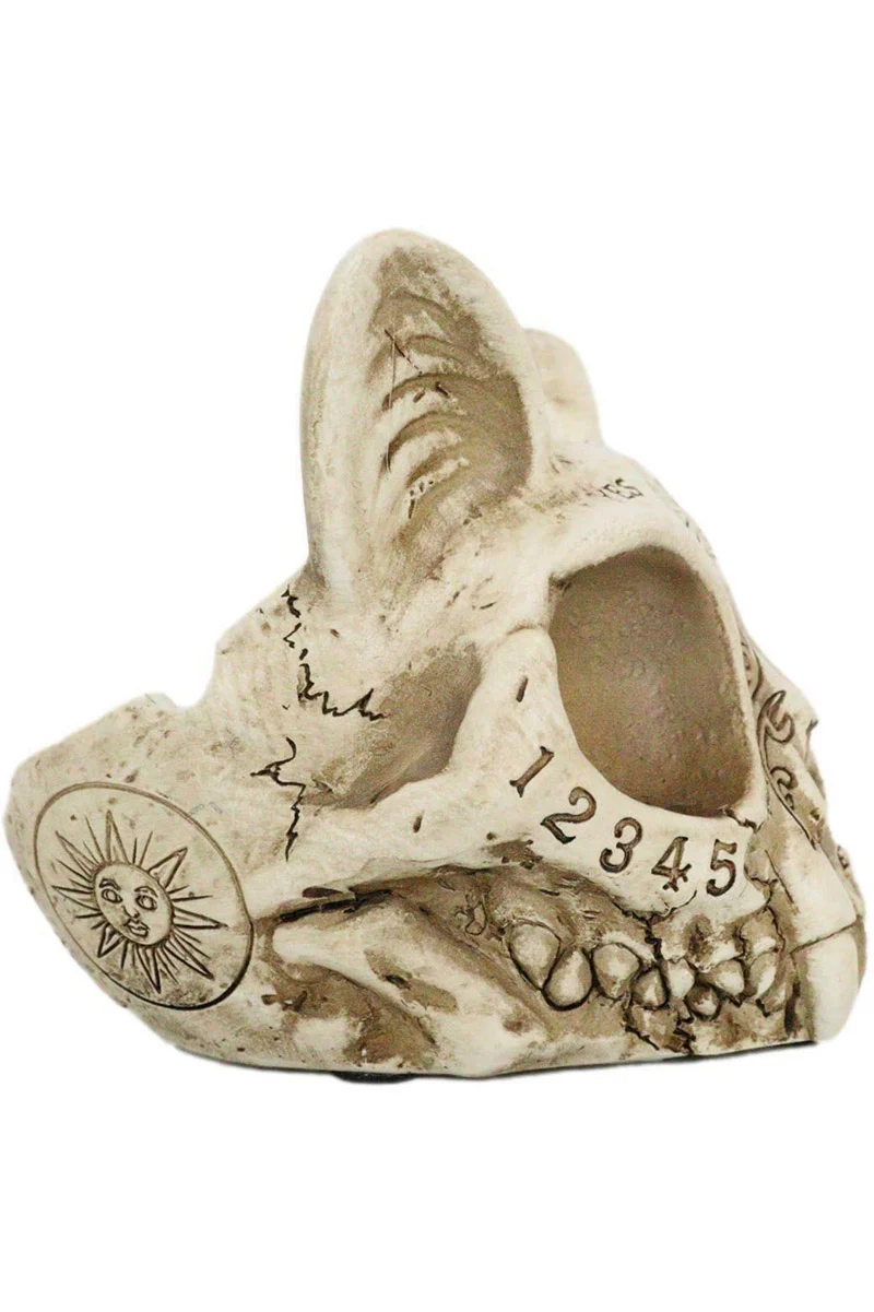 Spirit Cat Skull Ashtray - Image 5