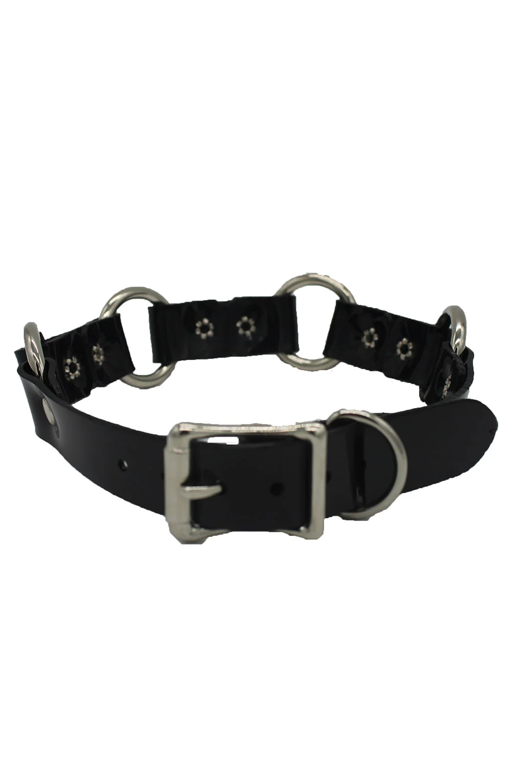 Teach Me Collar and Leash - Image 6