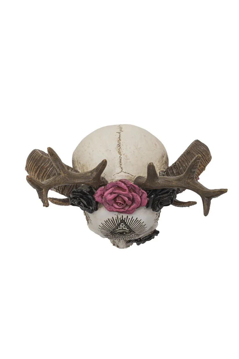 Wiccan Skull Statue - Image 5