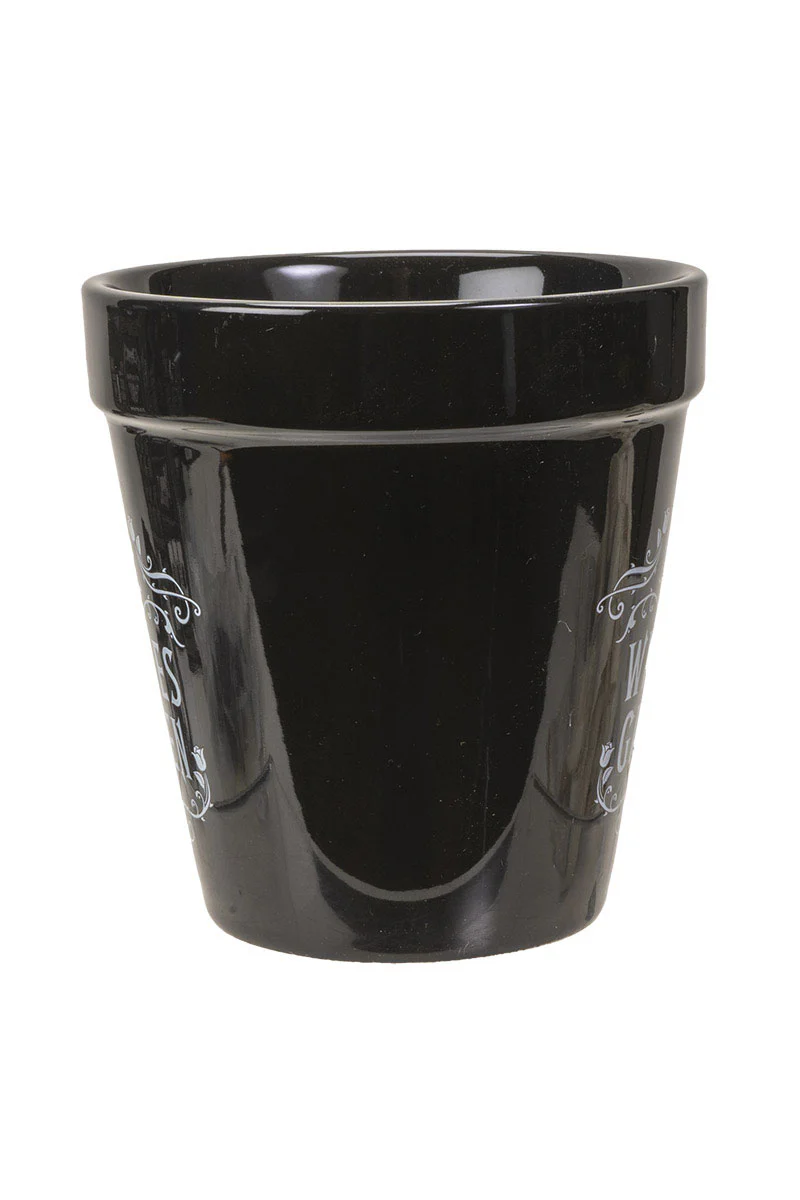 Witches Garden Planter - Image 3